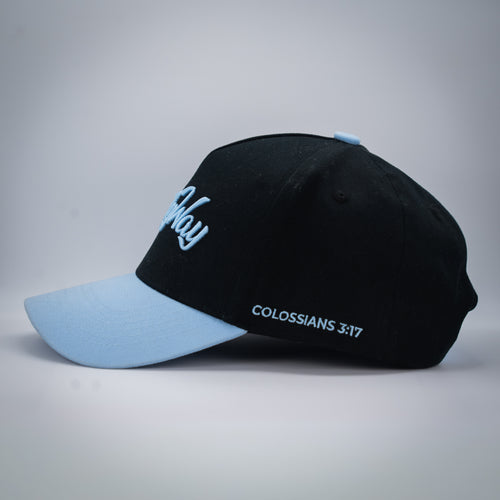 Colossians 3:17 Hat
